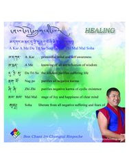 Healing - Du Tri Su